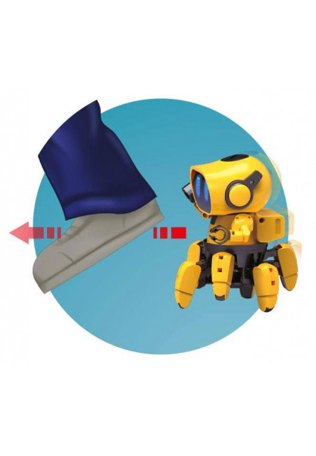 Tibo robot