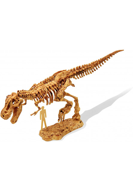 DinoKIT ásatás és csontváz T-Rex