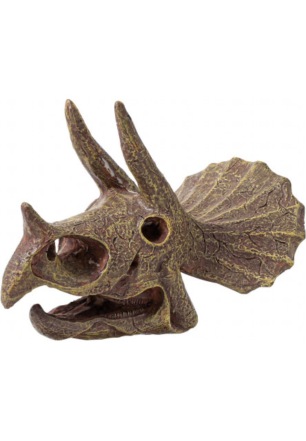 Kiállítási koponya - Triceratops