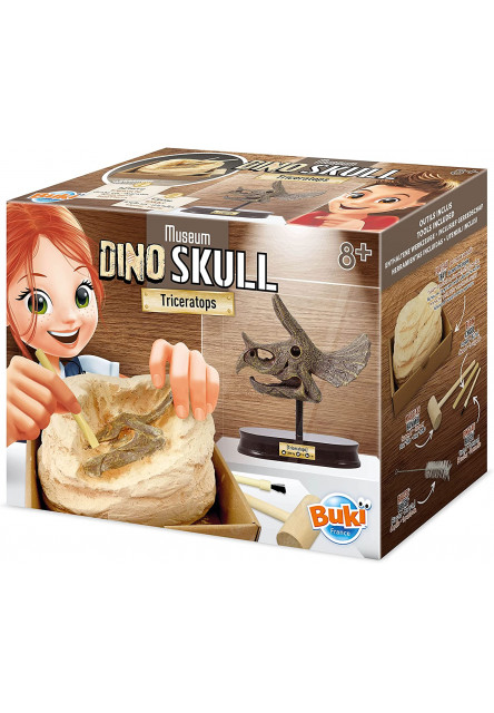 Kiállítási koponya - Triceratops