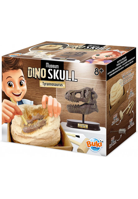 Kiállítás koponya - T-rex